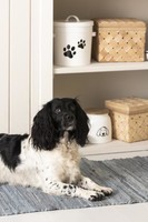 Dåse til hundemad hvid m/hundemotiv