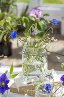 Vase m/bred kant Claire