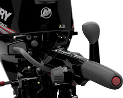 Mercury F 10 MH EFI
